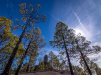 Roque Nublo